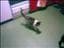 monchan